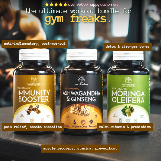 GYM WORKOUT BUNDLE