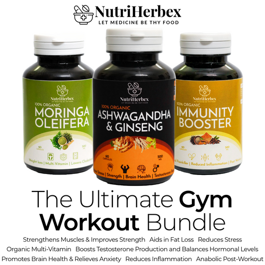 GYM WORKOUT BUNDLE