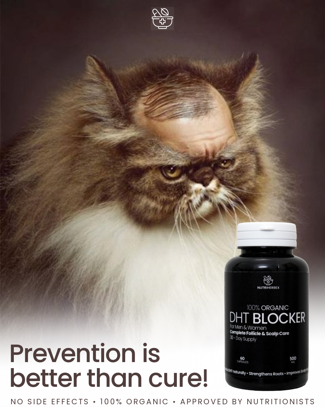 DHT Blocker for Men & Women | 60 capsules