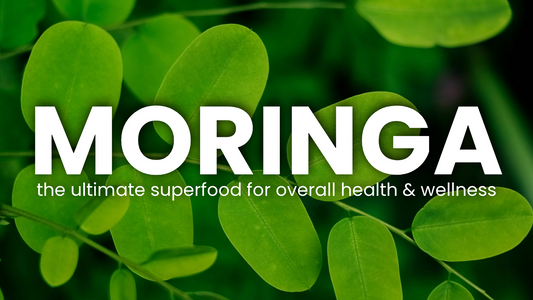 Moringa: The Ultimate Superfood for Overall Health and Wellness