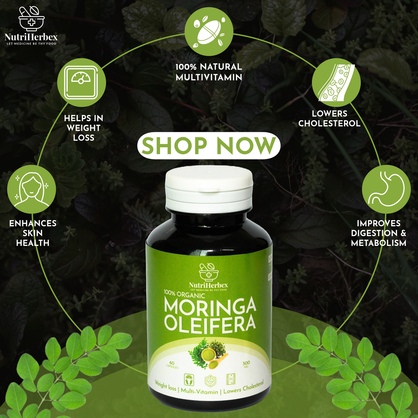 MORINGA OLEIFERA | 60 capsules