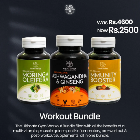 GYM WORKOUT BUNDLE