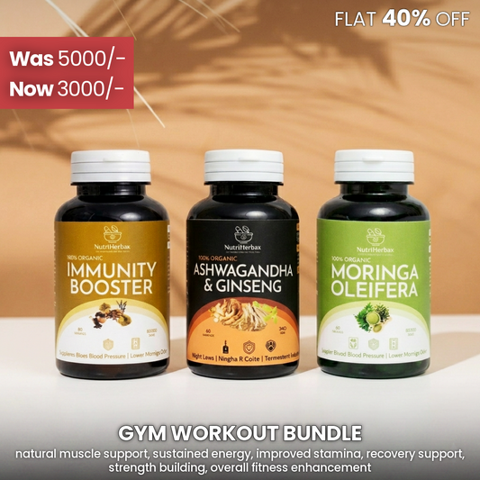 GYM WORKOUT BUNDLE