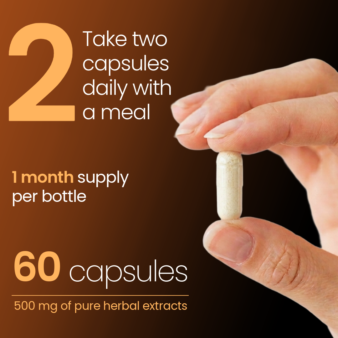 ASHWAGANDHA & GINSENG | 60 capsules