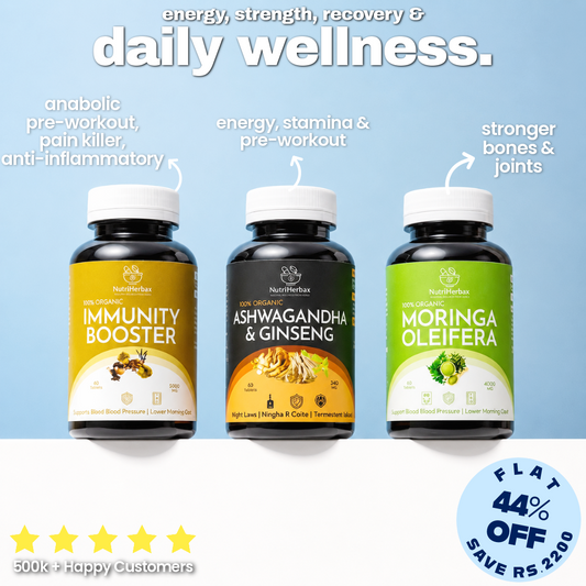 GYM WORKOUT BUNDLE