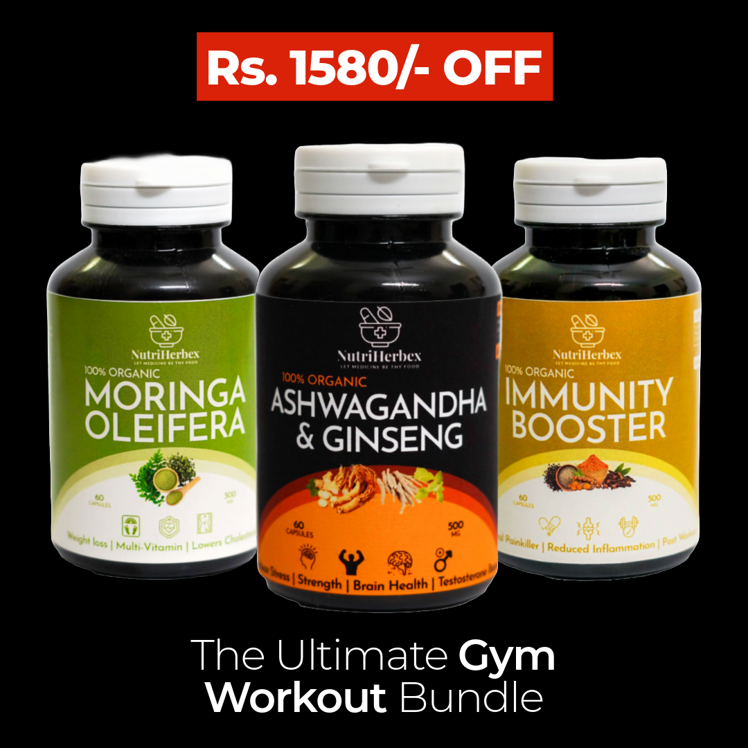 GYM WORKOUT BUNDLE