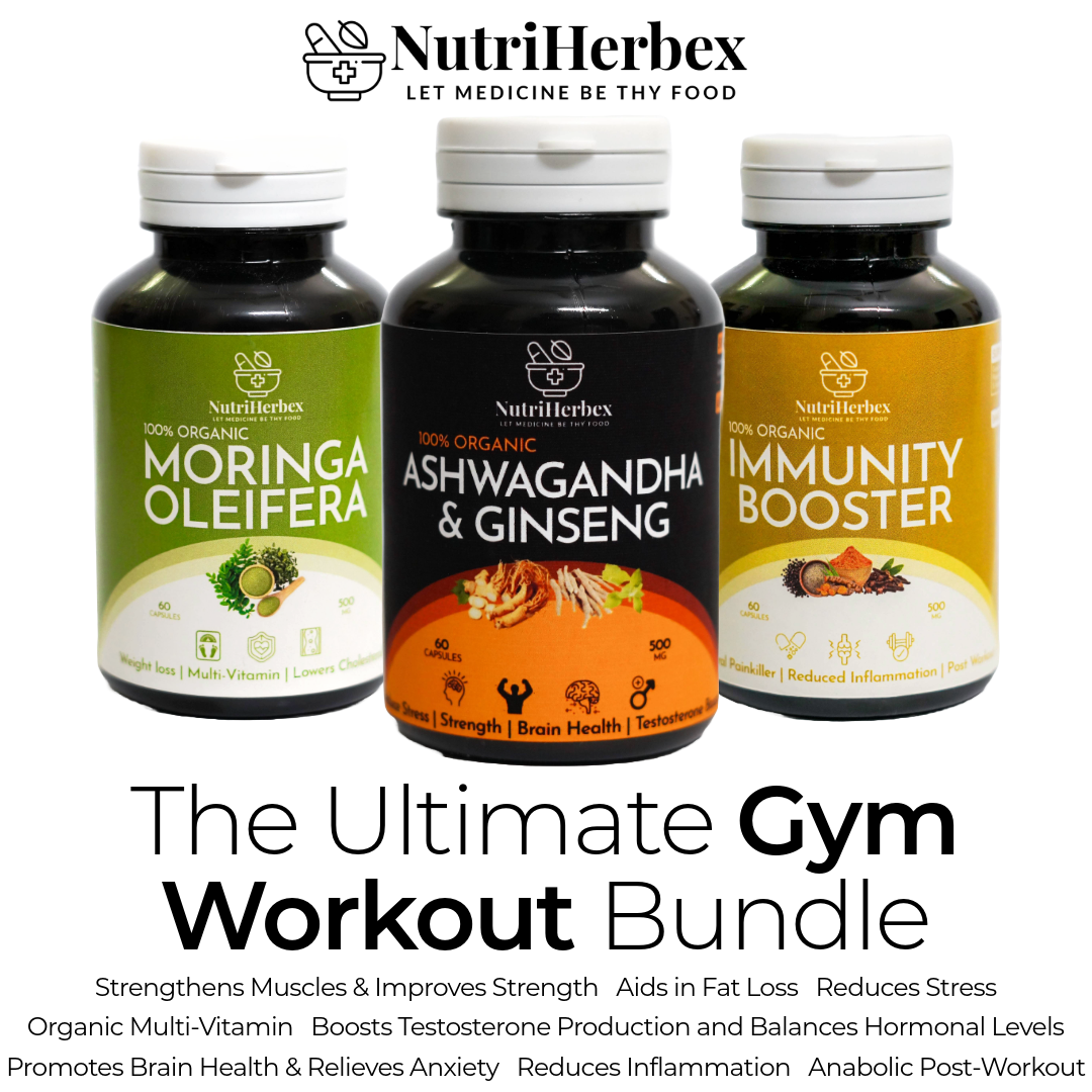 GYM WORKOUT BUNDLE